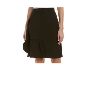 NWT / Alton Gray Pencil Skirt
